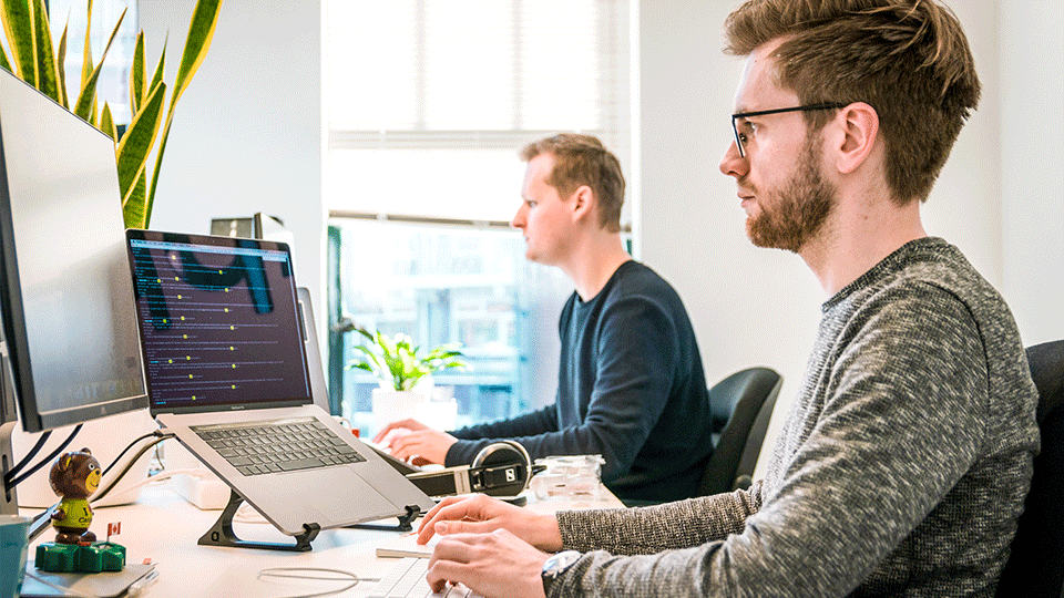 Two Office Workers Looking at Computers